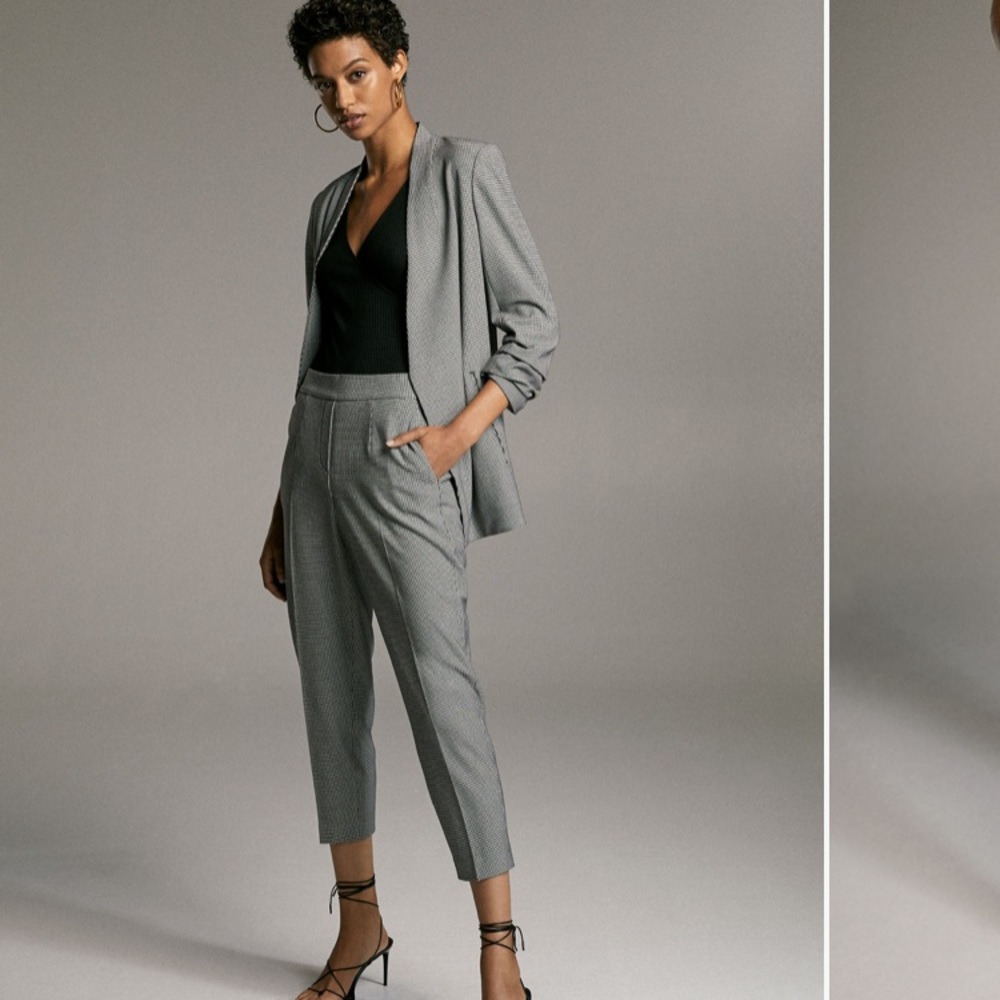 Aritzia Babaton Conan Pant / NEW